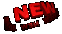 newr1