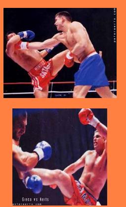 PeterAerts3