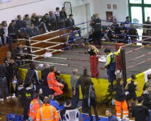 ring2013